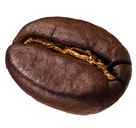 Exclusive Coffee Bean
